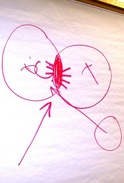 File:Chart-circles-nn-location.jpg